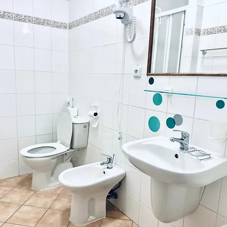 U Mestske Brany Guest house Vyskov